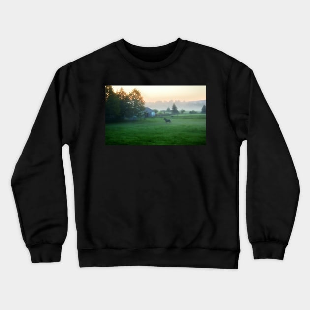 Horse On A Misty Morning Crewneck Sweatshirt by JimDeFazioPhotography